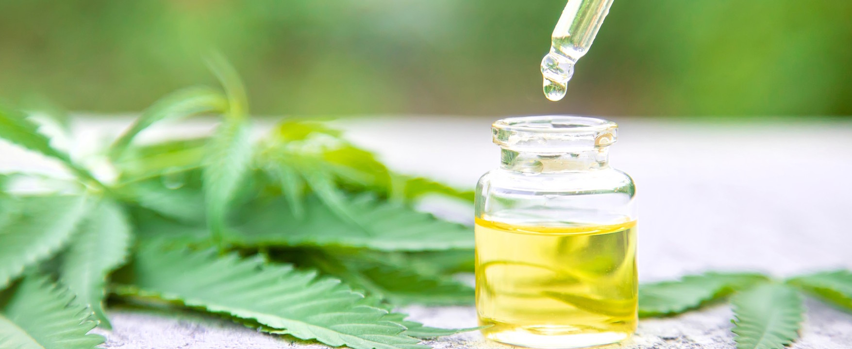 Olejek CBD na czczo czy po posiłku? Wyjaśniamy jak stosować!