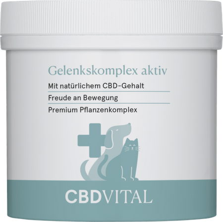 CBD Vital - VET - Kompleks na stawy aktywny z 150mg CBD - 100g